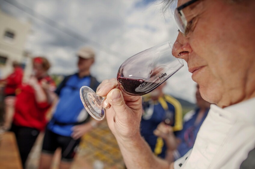 Una quinzena de cellers DO Empordà organitzen visites a les seves vinyes durant la Mostra del Vi de l'Empordà