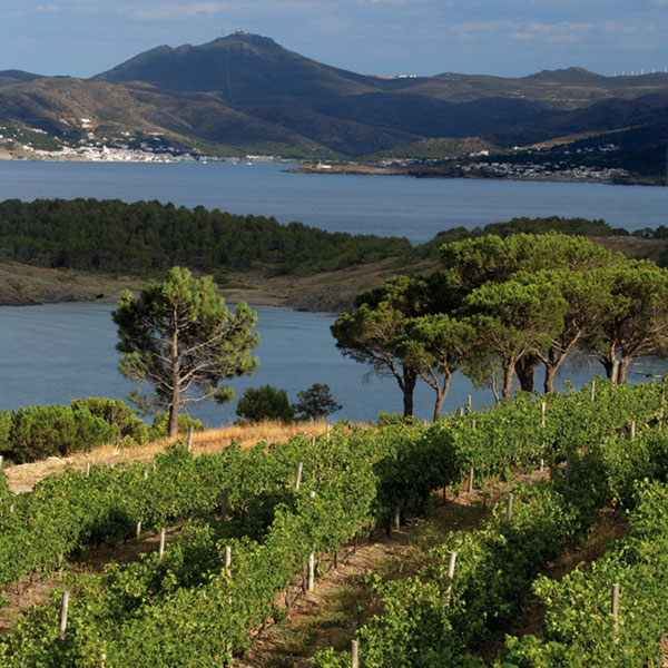 Empordà, Camins del Vi